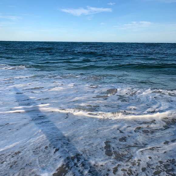 Meet your Posher, Grace - Picture 1 of 1